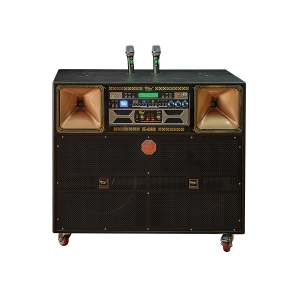 LOA ĐIỆN - K800 LOA ĐIỆN - K800