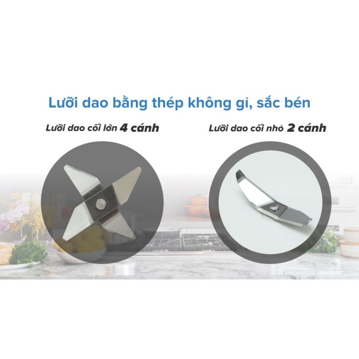 Máy xay sinh tố Philips HR2056