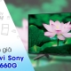 Smart Tivi Sony 50 inch KDL-50W660G