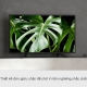 Smart Tivi Sony 50 inch KDL-50W660G