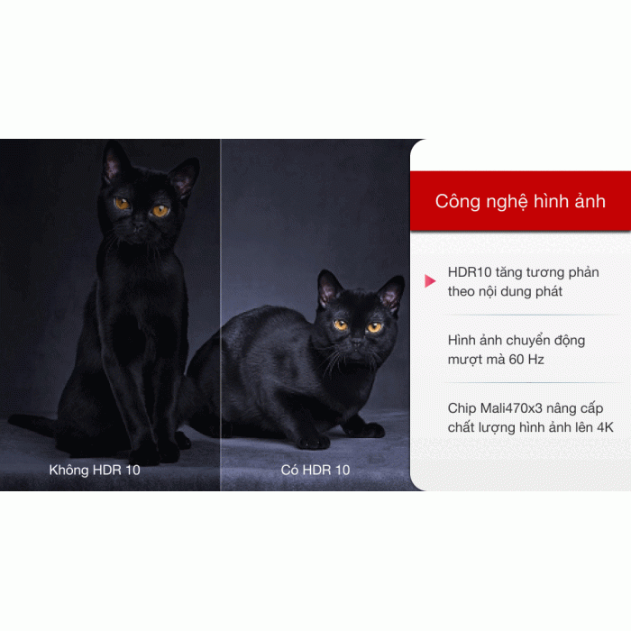 Android Tivi TCL 4K 55 inch 55P615