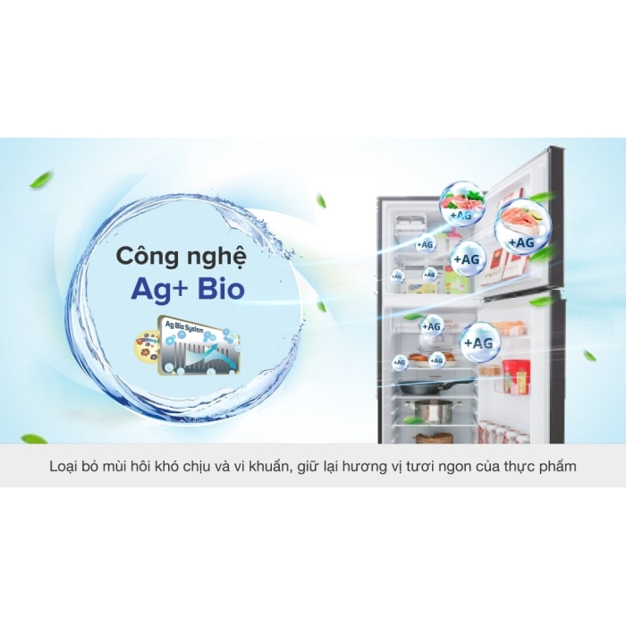 Tủ lạnh Toshiba Inverter 253 lít GR-B31VU SK