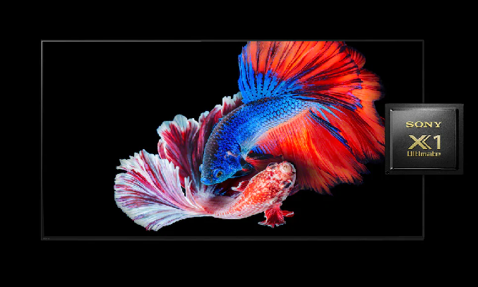 Android Tivi Sony 4K 48 inch KD-48A9S VN3 - Bộ xử lý mạnh mẽ&nbsp;4K X1 Ultimate