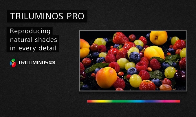 Google Tivi Sony 4K 43 inch KD-43X80J - Công nghệ Triluminos Pro